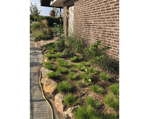 Buitenfoto van een tuin met siergras, planten en stenen