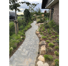 Tuinpad met stenen bestrating en beplanting