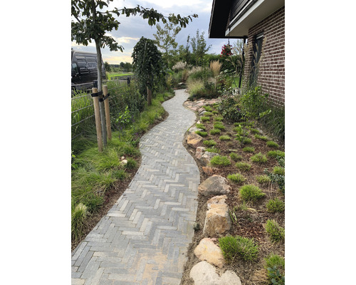 Tuinpad met stenen bestrating en beplanting