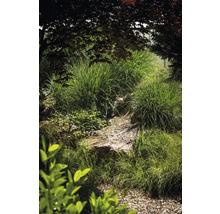Weelderige tuin met siergrassen en natuurstenen