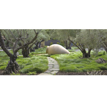 Tuinscene met olijfbomen, gras en grote amfoorkruik