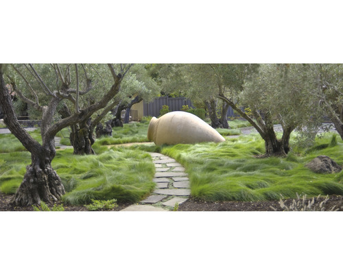 Tuinscene met olijfbomen, gras en grote amfoorkruik