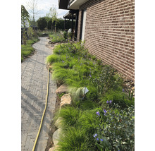 Tuin met stenen pad en plantenperk naast bakstenen muur.