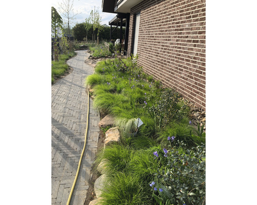 Tuin met stenen pad en plantenperk naast bakstenen muur.