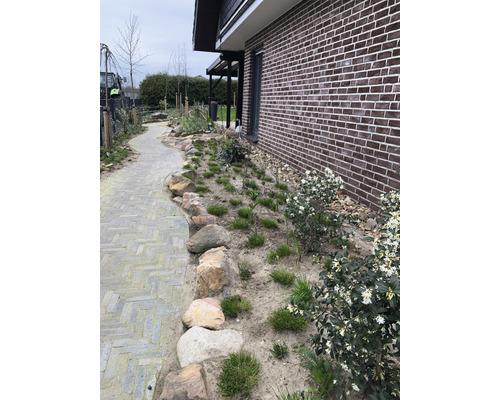 Tuinpad met stenen en beplanting naast een huis