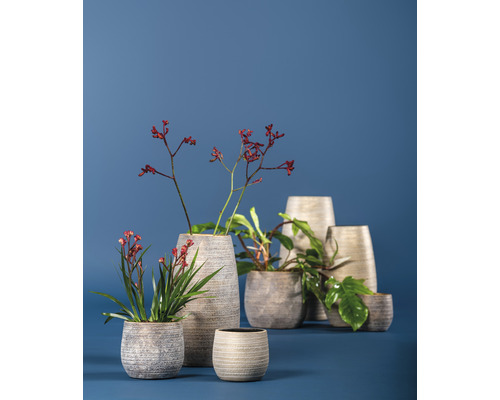 Diverse stenen plantenbakken met planten en takken
