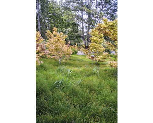 Landschap met bomen, grasveld en een vogelhuisje