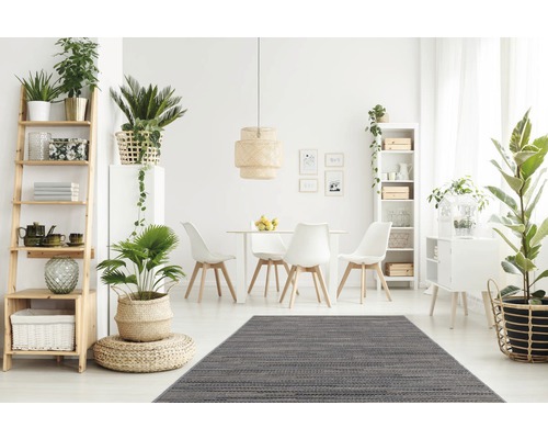 Lichte eetkamer met eettafel, stoelen, vloerkleed en decoratieve kamerplanten op planken en kasten.
