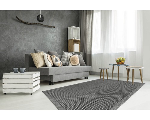 Moderne woonkamer met grijze bank, vloerkleed en sierkussens