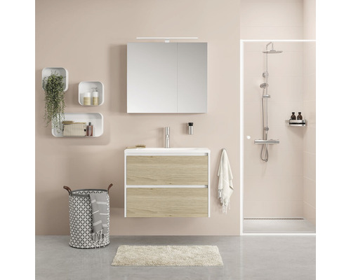 Badkamer met wastafel, spiegelkast, douche en decoratie