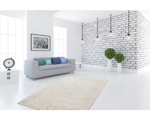 Lichte woonkamer met vloerkleed, bank, decoratie en witte bakstenen muur