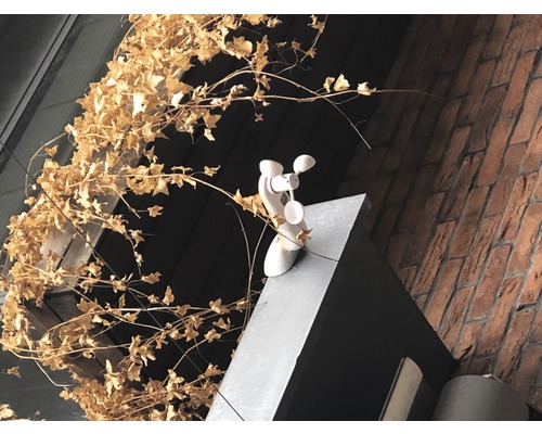Windmeter op een gebouw met een bakstenen muur en klimop