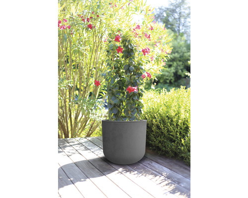 Plantenbak met bloeiende plant op een houten terras