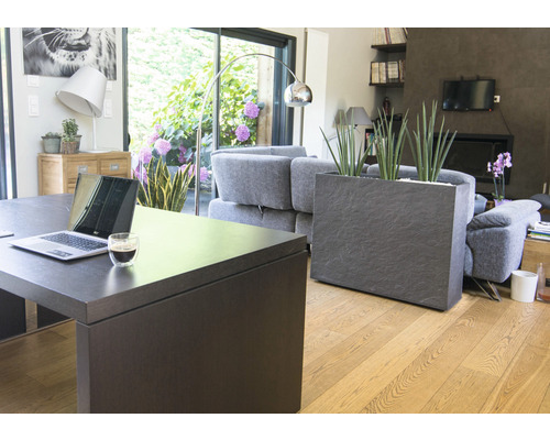 Woonkamer met bureau, laptop, potplanten en plantenbak.