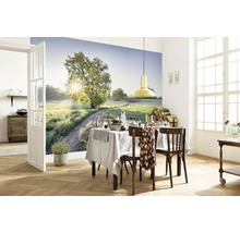 Woonkamer met fotobehang dat een landweg met boom laat zien