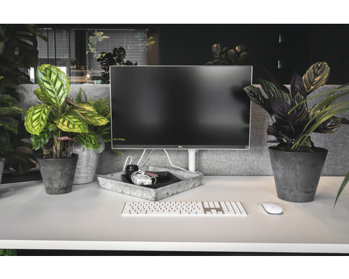 Werkplek met monitor, toetsenbord, muis en kamerplanten