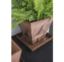 Vierkante plantenbak met schotel en varen