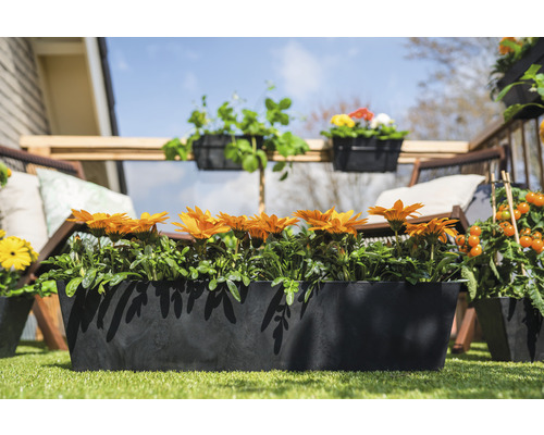 Balkonscène met bloembakken beplant met oranje bloemen