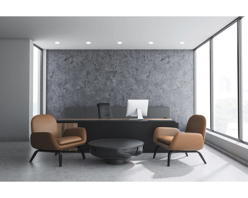 Kantoor met bureau, bureaustoel en fauteuils