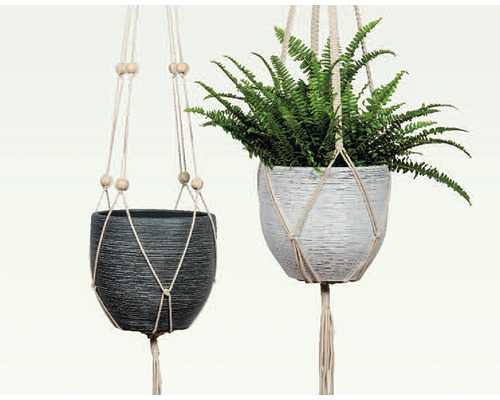 Twee hangende bloempotten met planten in macramé houder