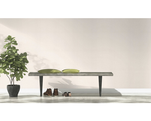 Licht interieur met bank, kussens, schoenen en kamerplant