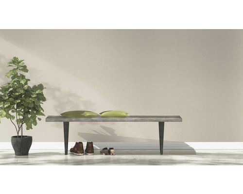 Lichte kamerindeling met bank, kussens, potplant en schoenen.