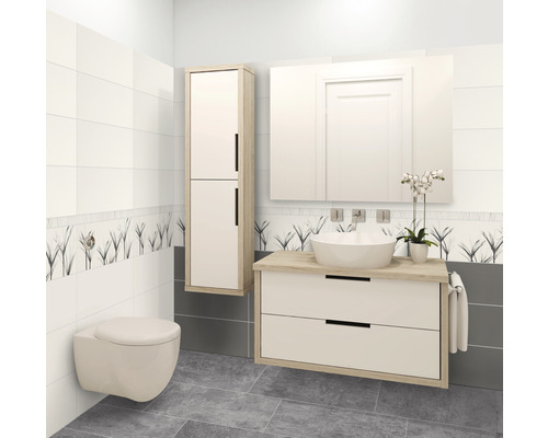 Badkamer met wandcloset, wastafelmeubel met opzetwastafel, spiegelkast en hoge kast