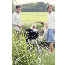 Tuinscene met barbecue en gezellig samenzijn buiten