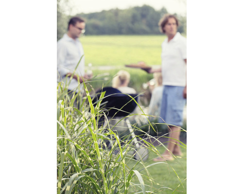 Tuinscene met barbecue en gezellig samenzijn buiten