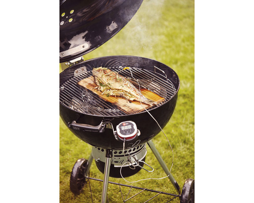 Ronde barbecue met vis op houten plank en thermometer