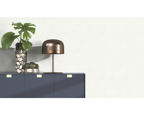 Decoratieve opstelling met tafellamp, plant en cactus op een kast