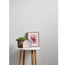 Decoratie met vetplant, fotolijst en decoratieve huisjes op bijzettafel