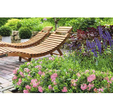 Twee houten ligbedden in de tuin met bloemen