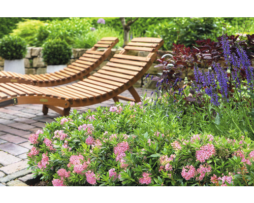 Twee houten ligbedden in de tuin met bloemen