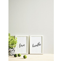 Decoratieve scène met plant, limoenen en ingelijste posters met de woorden Liefde en Adem