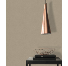 Woonkamer met hanglamp, schaal en boeken op een tafel voor een muur