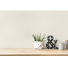 Decoratieve scène met plant in pot, ampersand lamp en decoratieve containers op een tafel