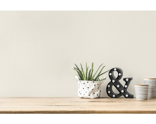 Decoratieve scène met plant in pot, ampersand lamp en decoratieve containers op een tafel