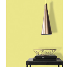 Hanglamp boven tafel met schaal en boeken