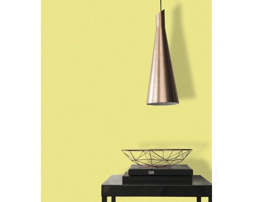 Hanglamp boven tafel met schaal en boeken