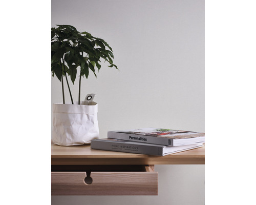 Decoratieve kamer met plant, boeken en houten bureau