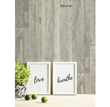 Decoratieve scène met een plant, twee ingelijste foto''s met de opschriften ''liefde'' en ''adem'' en drie limoenen voor een houten muur