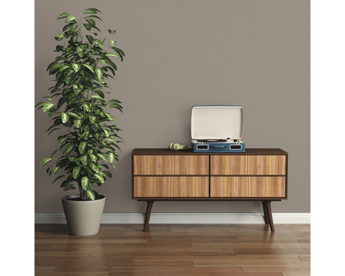 Woonkamerscène met dressoir, plant en platenspeler