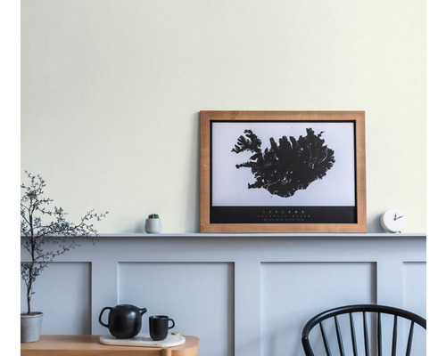 Woonkamer met wanddecoratie, ingelijste IJsland poster en decoraties.