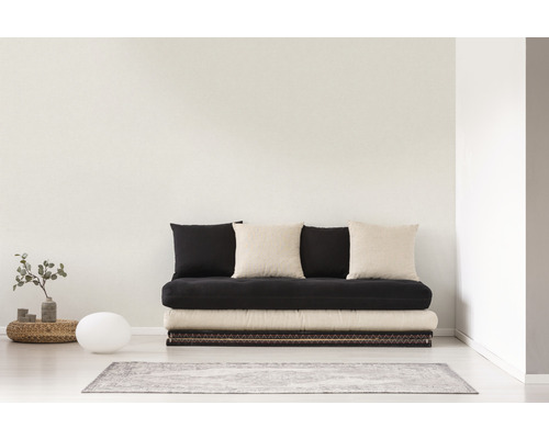 Lichte kamer met futon, kussens en decoratie