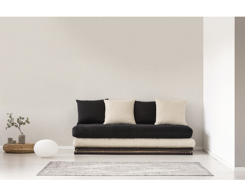 Woonkamer met futonbed, kussens en decoratie