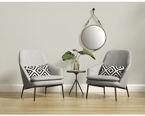 Woonkamer scène met twee fauteuils, een bijzettafel, een spiegel en kamerplanten ter decoratie.