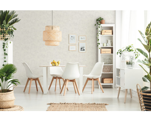 Lichte eetkamer met eettafel, stoelen, rekken en kamerplanten voor een vriendelijke sfeer.