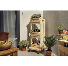 BUILDIFY Houten kist onbehandeld 44x33x28 cm-thumb-9 BUILDIFY Houten kist onbehandeld 44x33x28 cm-thumb-9