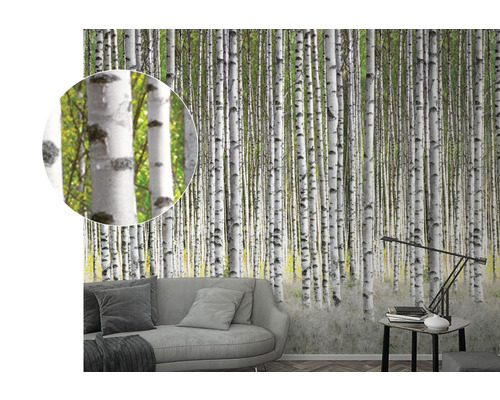 Behang met berkenbosmotief in de woonkamer